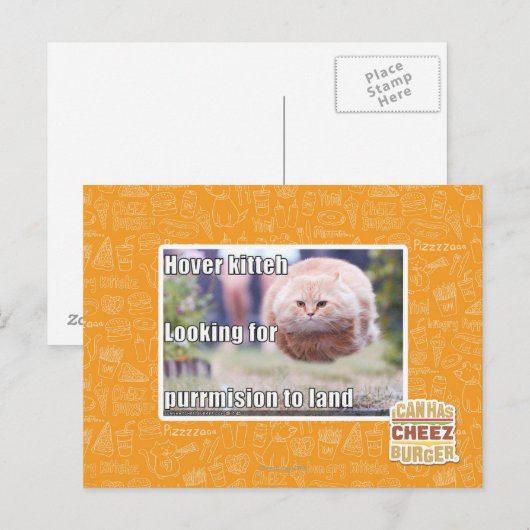 Carte Postale Hover kitteh (Devant / Derrière)