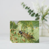 Carte postale Hoverfly (Debout devant)
