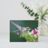 Carte Postale Hovering (Debout devant)