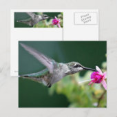 Carte Postale Hovering (Devant / Derrière)