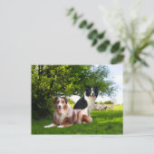 Carte Postale "Howdy & Buckeroo"  (Debout devant)