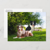 Carte Postale "Howdy & Buckeroo"  (Devant / Derrière)