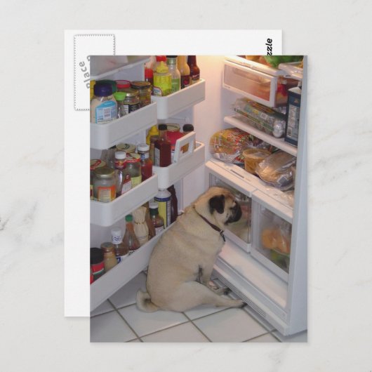 Carte Postale Howie Pee Pugpants (Devant / Derrière)