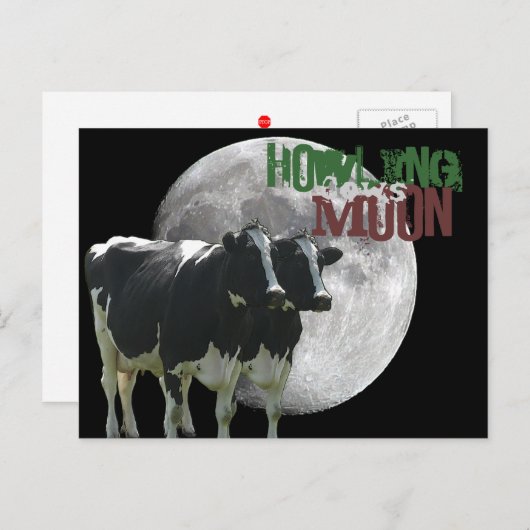 Carte Postale Howling Cows Moon (Devant / Derrière)