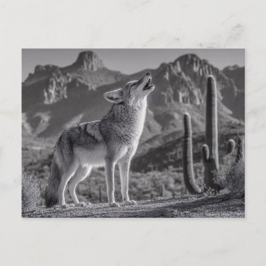 Carte Postale Howling Coyote dans le paysage désertique (Devant)