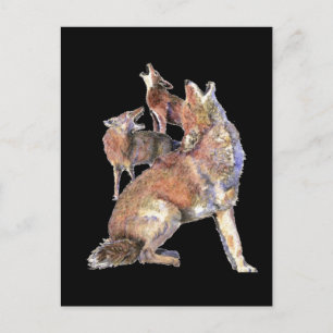 Carte Postale Howling Coyote Pack, Animal, Nature