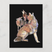 Carte Postale Howling Coyote Pack, Animal, Nature (Devant)