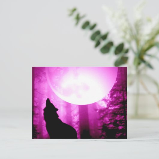 Carte Postale Howling Wolf (Debout devant)