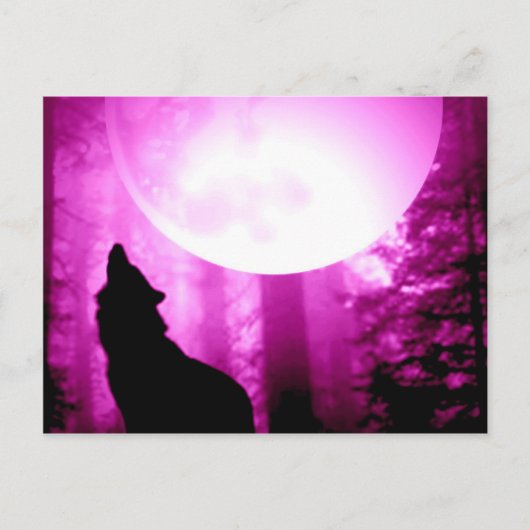 Carte Postale Howling Wolf (Devant)