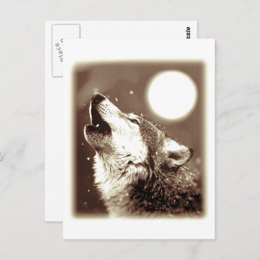 Carte Postale Howling Wolf (Devant / Derrière)