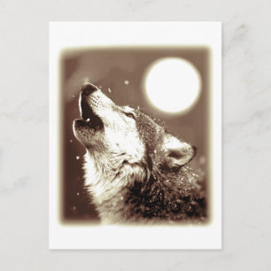 Carte Postale Howling Wolf