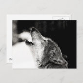 Carte Postale Howling Wolf (Devant / Derrière)