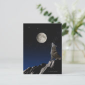 Carte Postale Howling Wolf (Debout devant)