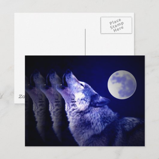 Carte Postale Howling Wolf (Devant / Derrière)