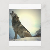 Carte Postale Howling Wolf (Devant)