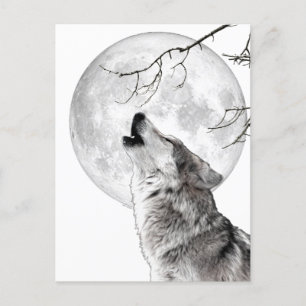 Carte Postale Howling Wolf, Moon, Gothic, Nature