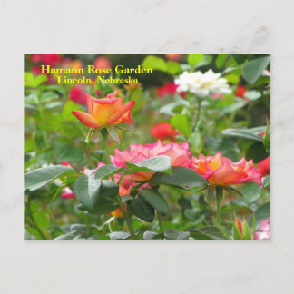 Carte postale HRG #300n 0300