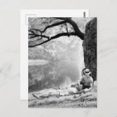 Carte Postale Huckleberry & Tom (Devant / Derrière)