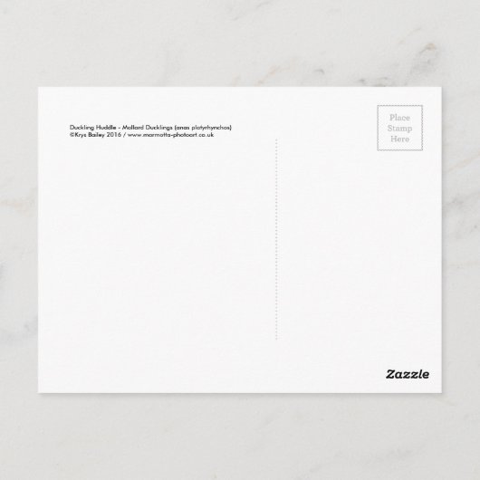 Carte postale Huddle (Dos)