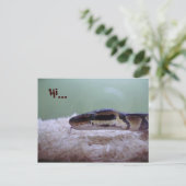 CARTE POSTALE HUG (Debout devant)