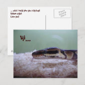 CARTE POSTALE HUG (Devant / Derrière)