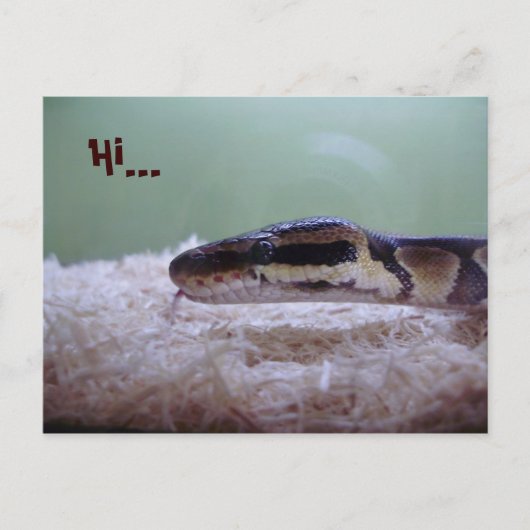 CARTE POSTALE HUG (Devant)