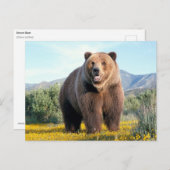 Carte Postale Huge Brown Bear (Devant / Derrière)