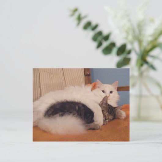 Carte postale HugZ (Debout devant)