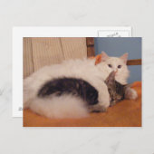 Carte postale HugZ (Devant / Derrière)