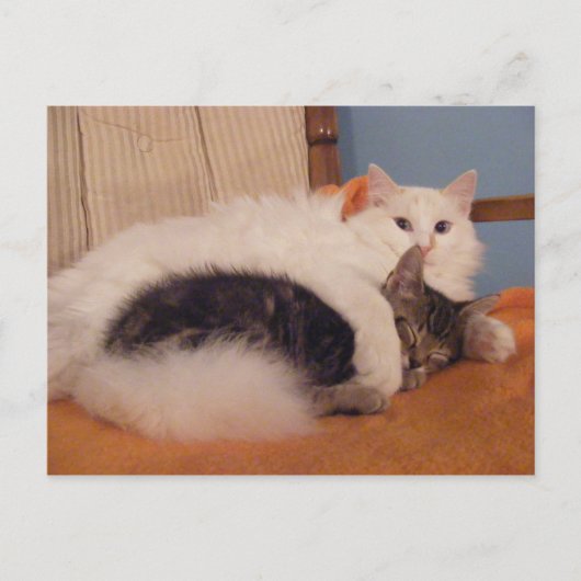 Carte postale HugZ (Devant)