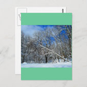 Carte Postale Huile de Blizzard Trees (Devant / Derrière)