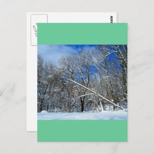 Carte Postale Huile de Blizzard Trees (Devant / Derrière)