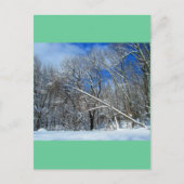 Carte Postale Huile de Blizzard Trees (Devant)