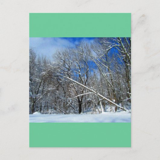 Carte Postale Huile de Blizzard Trees (Devant)