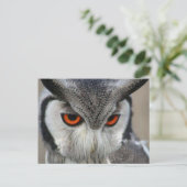 Carte Postale huilen (Debout devant)