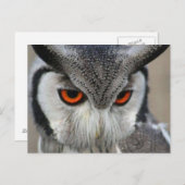 Carte Postale huilen (Devant / Derrière)