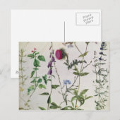 Carte Postale Huit études sur les fleurs sauvages (Devant / Derrière)