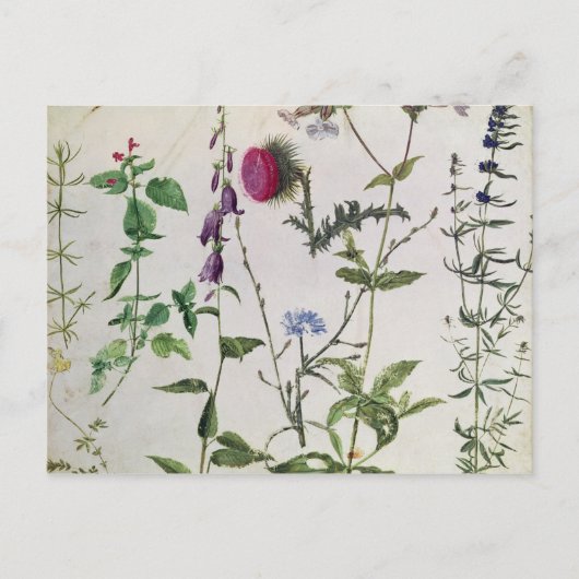 Carte Postale Huit études sur les fleurs sauvages (Devant)