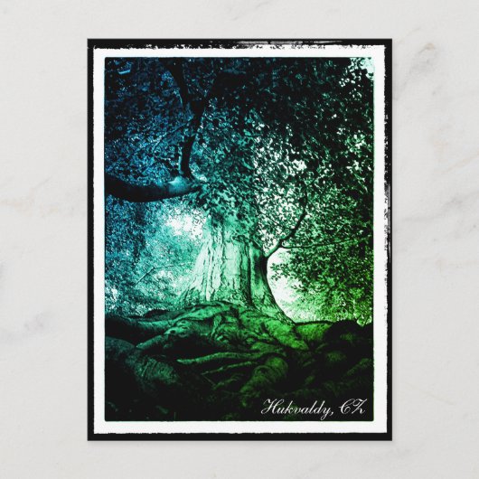 Carte Postale Hukvaldy - Hêtre, Morava, Czechia (Devant)