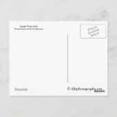 Carte Postale Hulk d'eau brute (Dos)