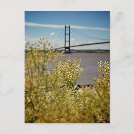 Carte Postale Humber Bridge in the Sun [Carte postale] (Devant)