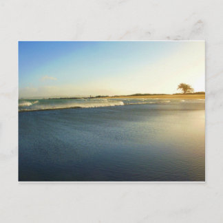 Carte Postale Humboldt Bay, Eureka, Ca.