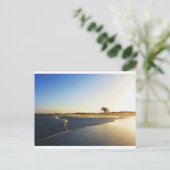 Carte Postale Humboldt Bay Eureka Ca2 (Debout devant)