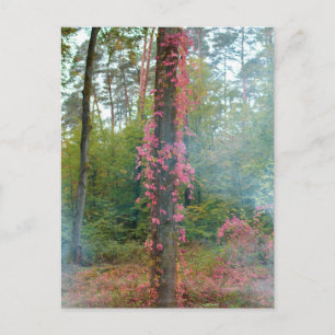 Carte Postale Humeur forestière - impression sur toile