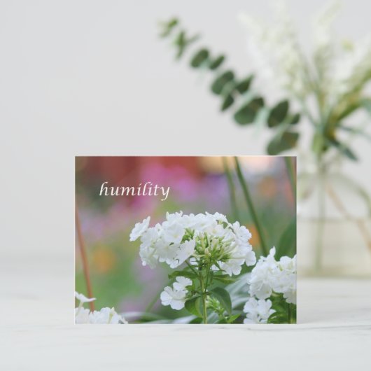 Carte Postale humilité (Debout devant)