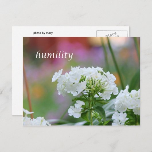 Carte Postale humilité (Devant / Derrière)