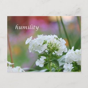 Carte Postale humilité