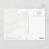 Carte Postale Humminbird Fast Food (Dos)