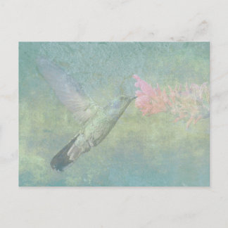 Carte Postale Humminer Tune