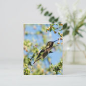 Carte Postale Humming Bird (Debout devant)